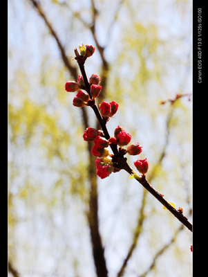 點擊新窗口打開